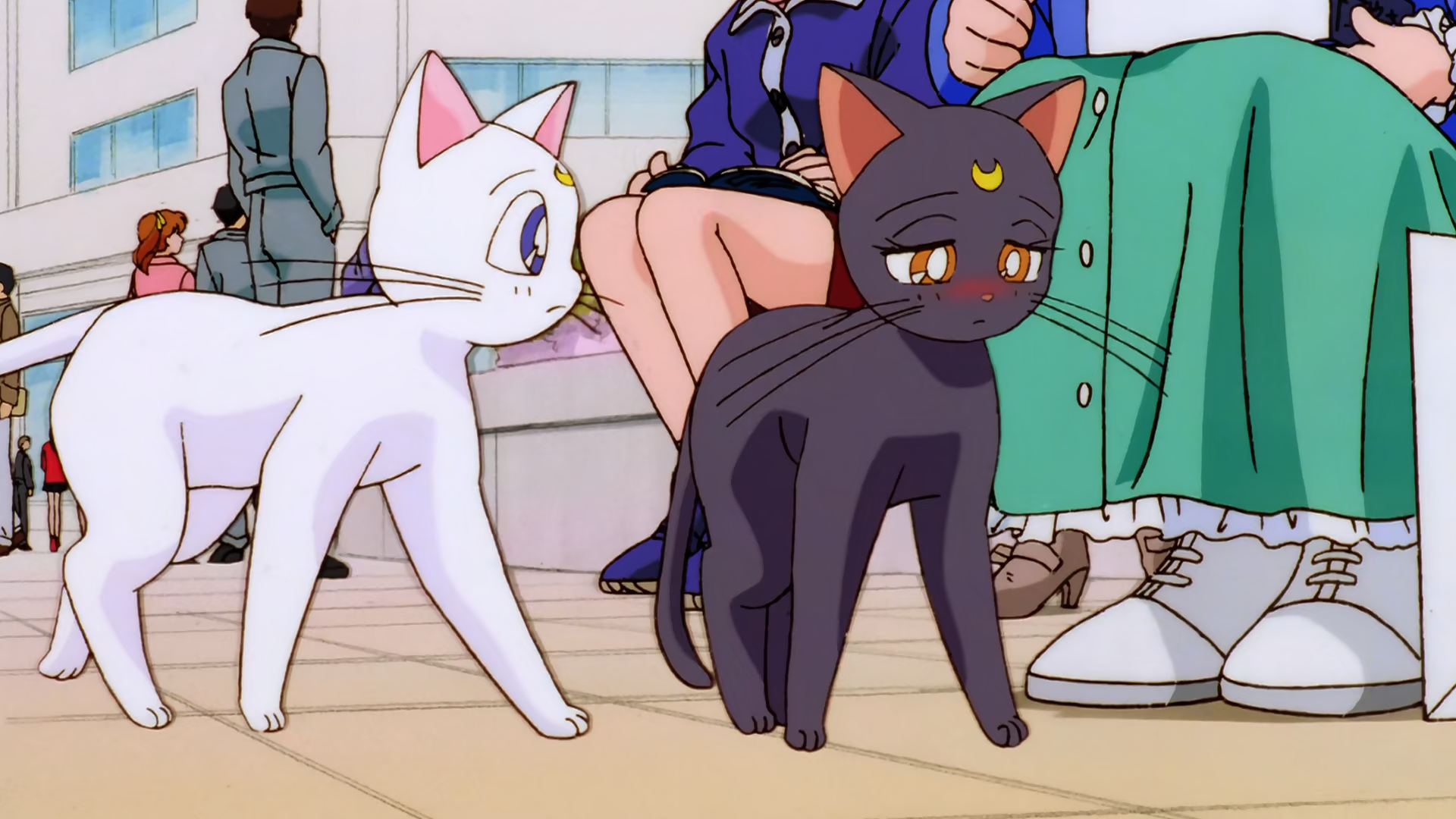 Bishoujo Senshi Sailor Moon S: Kaguya-hime no Koibito (Majo no Kuni)